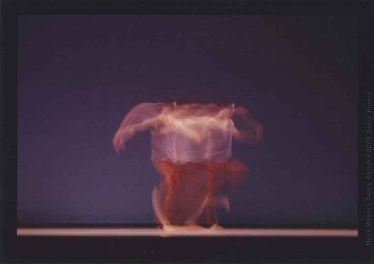 David Leventhal in "L'Allegro, il Penseroso ed il Moderato," 2009