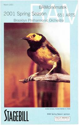 Program for Brooklyn Academy of Music (Brooklyn, NY) - March 22-25, 2001