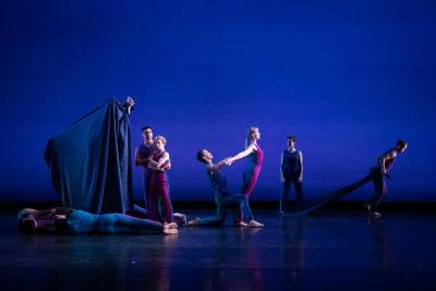 The company in "Sport," 2019