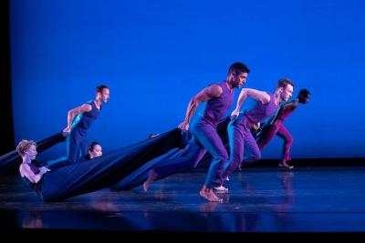The company in "Sport," 2019