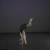Performance video from Dance Theater Workshop presents The Fall Events, Program B - December 18, 1983 (Video 2 of 2)
