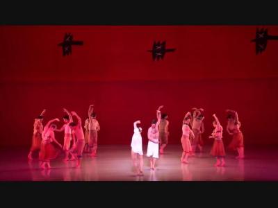 Performance video from Brooklyn Academy of Music - March 3, 2012