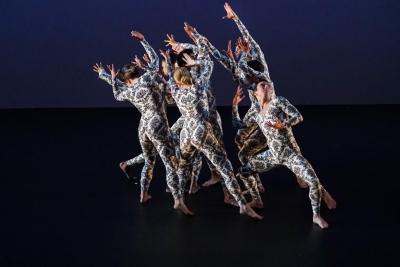 The Dance Group in "A Forest," 2016
