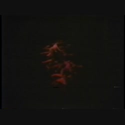 Performance video from On the Boards (Seattle, WA) - May 11, 1985