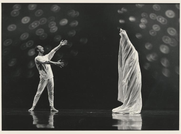 David Landis in "Soap-Powders and Detergents" from "Mythologies," 1987